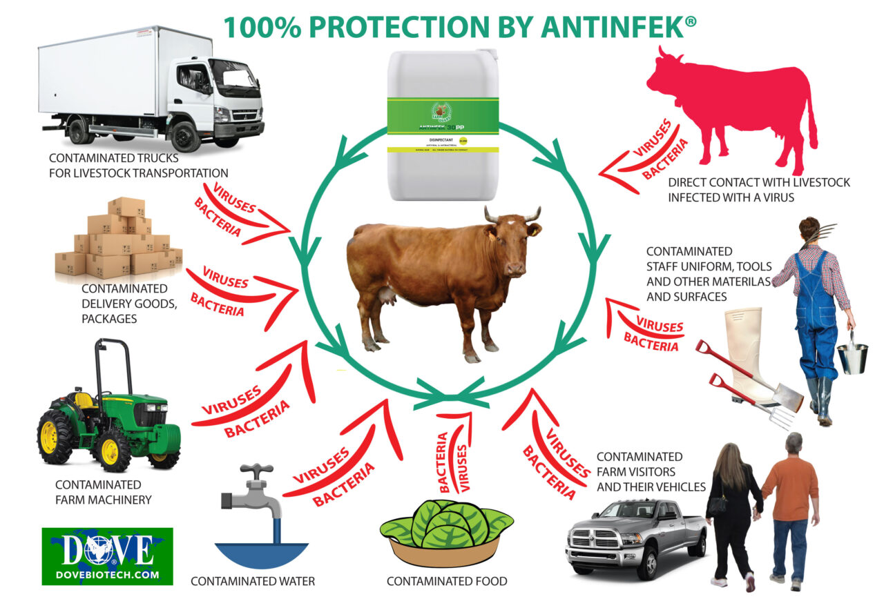 COW FARM BIOSECURITY DOVE BIOTECH