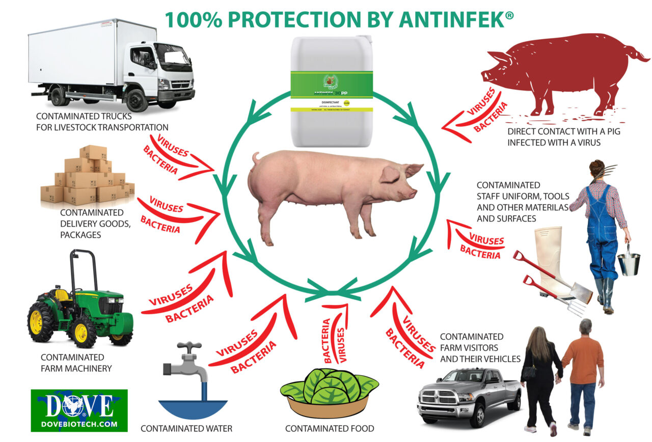 PIG FARM BIOSECURITY | DOVE BIOTECH